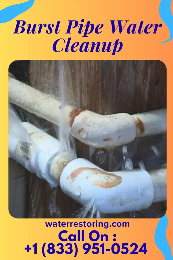 Burst Pipe Water Cleanup in Vernonburg, GA