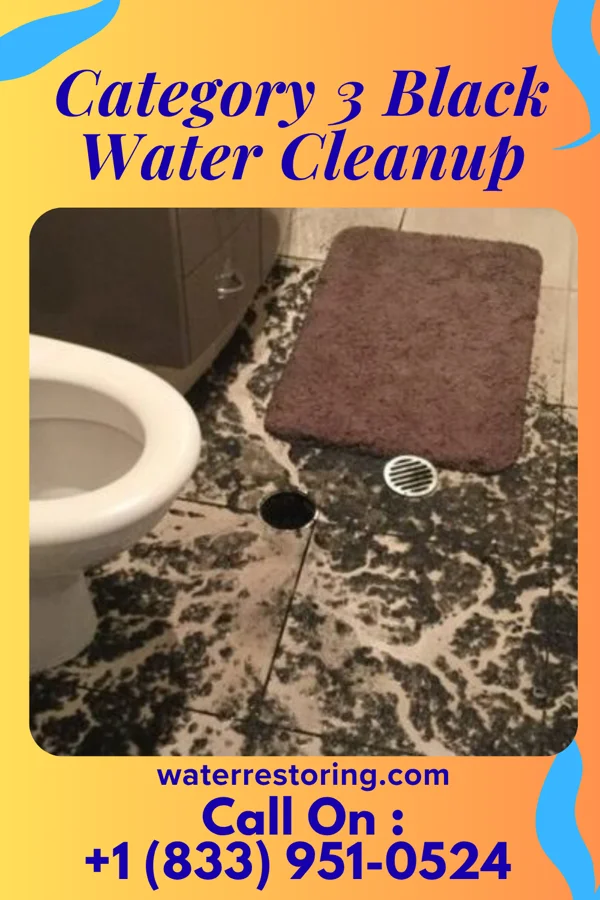 Category 3 Black Water Cleanup in Vernonburg, GA